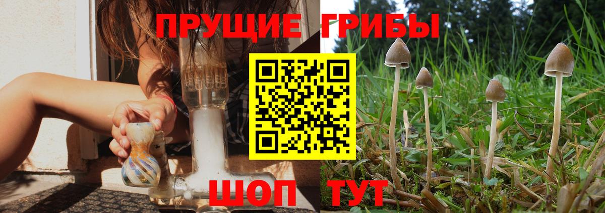 Галлюциногенные грибы GOLDEN TEACHER Киров